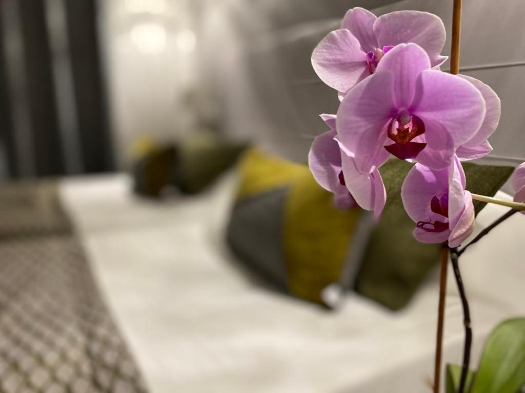 Brit Hotel Acacias Арль Экстерьер фото